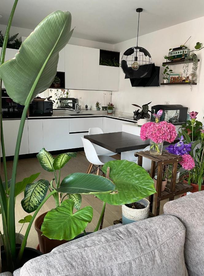Mowgli House - Milano Luxury Apartment Private Room ภายนอก รูปภาพ